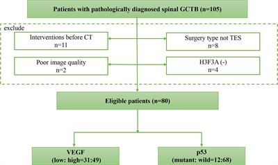 A Multiparametric Method Based on Clinical and CT-Based Radiomics to Predict the Expression of p53 and VEGF in Patients With Spinal Giant Cell Tumor of Bone